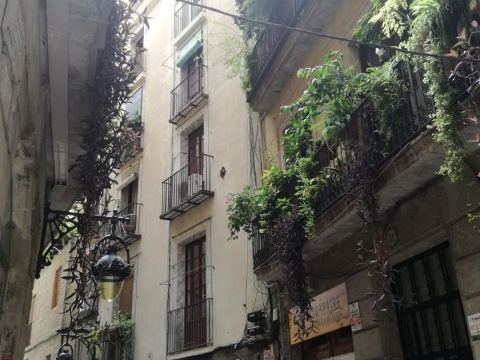 1 Bedroom Apartment with sofa-bed in Barcelona